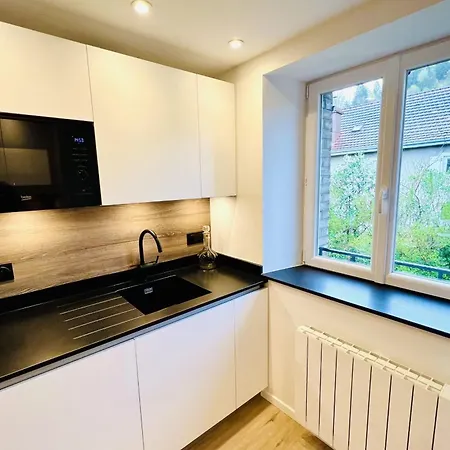 Apartment Charming Flat In The Heart Of Gérardmer